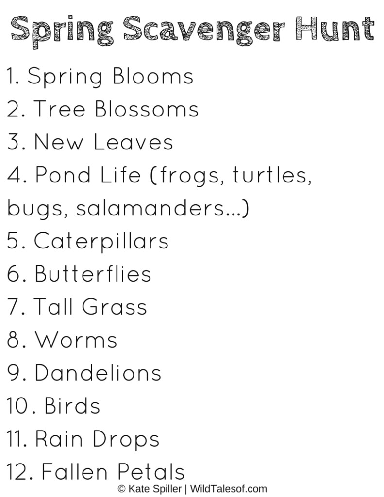 Spring Scavenger Hunt (with Printable) for Kids | WildTalesof.com