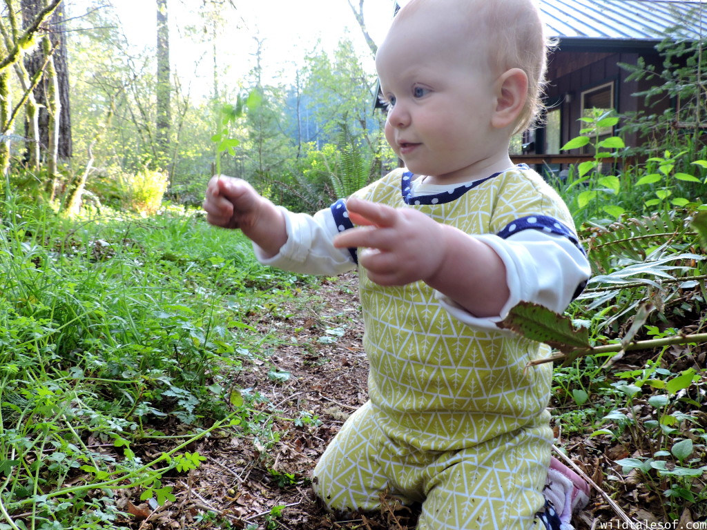 5 Helpful Tips for Camping with a Baby Featuring Ike Kinswa State Park | WildTalesof.com