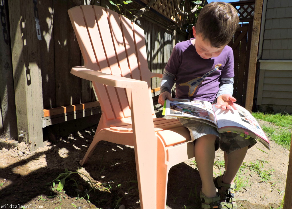 Easy Backyard Activity: Build a Mini-Rockery | Wildtalesof.com