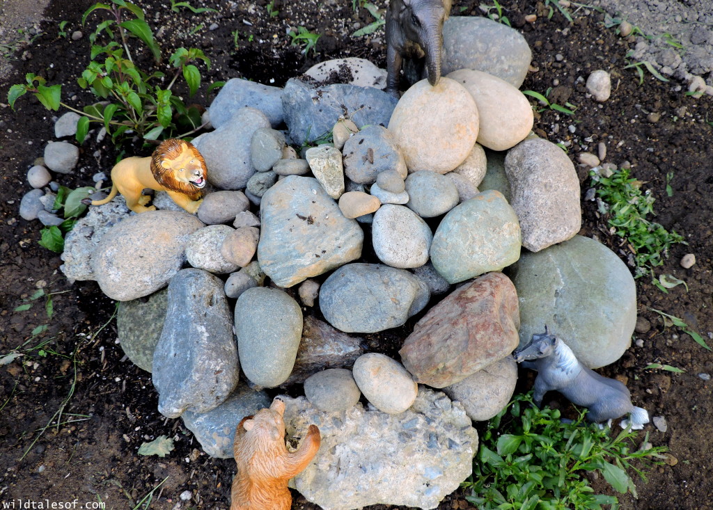 Easy Backyard Activity: Build a Mini-Rockery | Wildtalesof.com