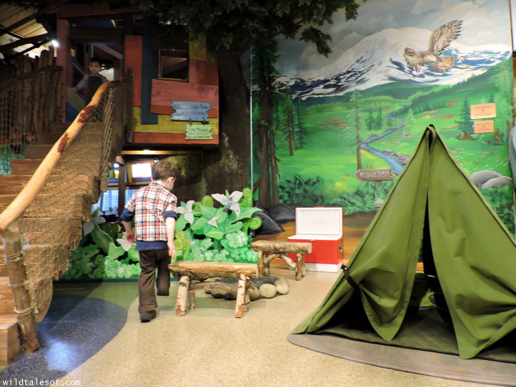 Olympia, WA’s Hands-on Children’s Museum: 4 Things We Love +Visitor Tips | WildTalesof.com