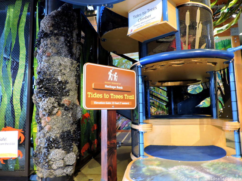Olympia, WA’s Hands-on Children’s Museum: 4 Things We Love +Visitor Tips | WildTalesof.com