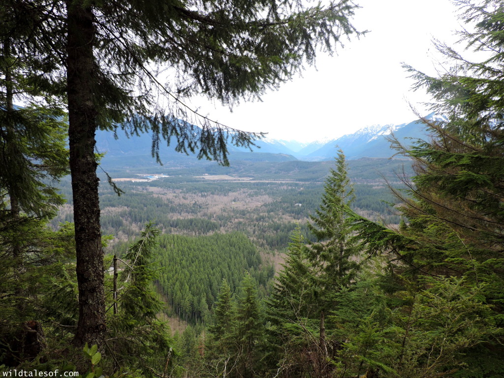 Hiking with Kids: Seattle Area Hikes with Viewpoints--Cedar Butte | WildTalesof.com