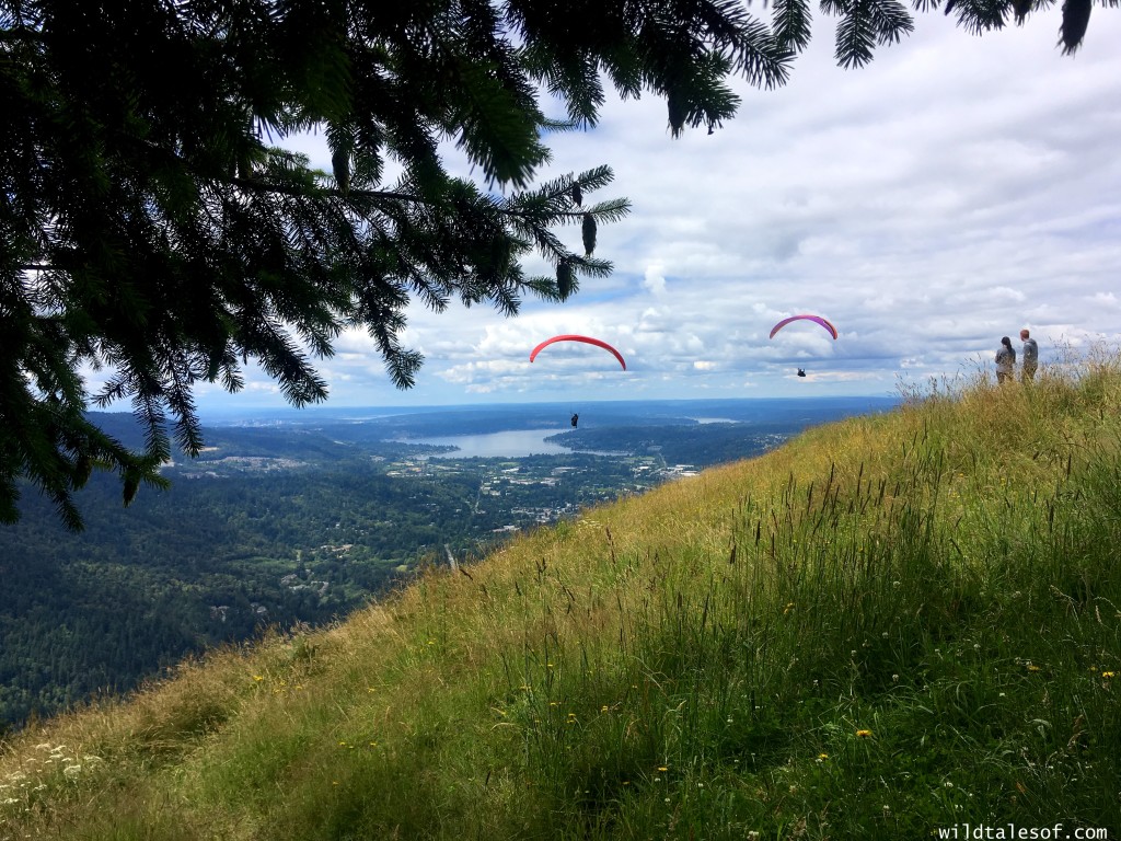 Hiking with Kids: Seattle Area Hikes with Viewpoints--Chirico Trail to Poo Poo Point | WildTalesof.com