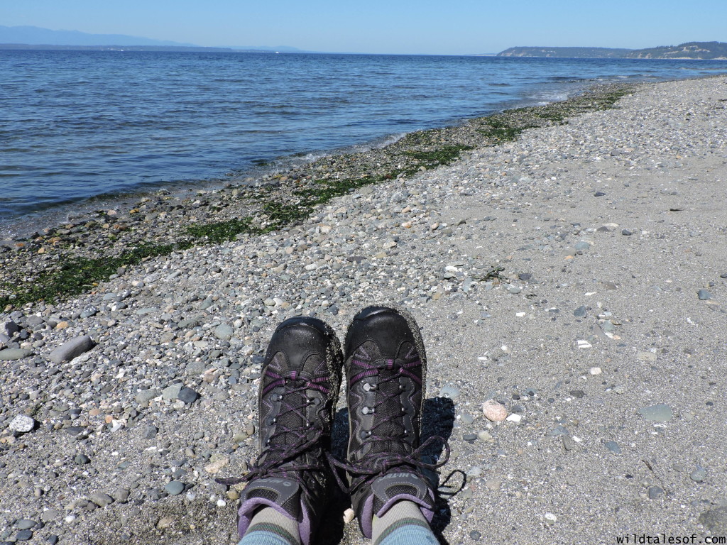 Women's Hiking Boot Review: V-Lite Altitude Pro Lite from Hi-Tec | WildTalesof.com