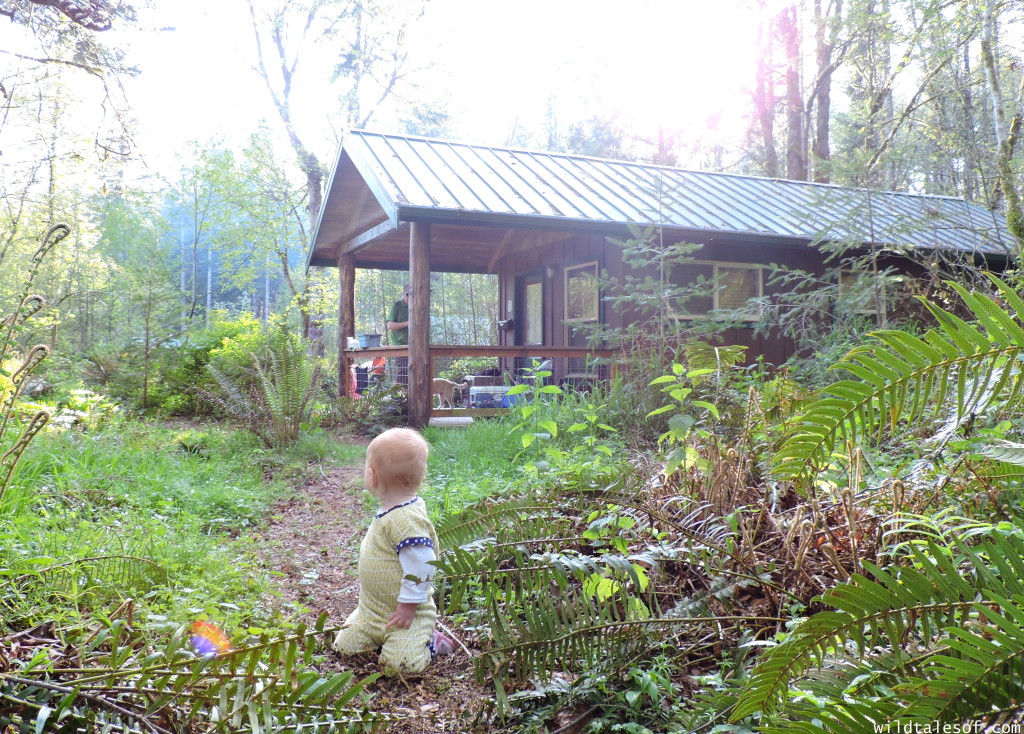 Ike Kinswa State Park in SW Washington State: Long Weekend Itinerary | WildTalesof.com