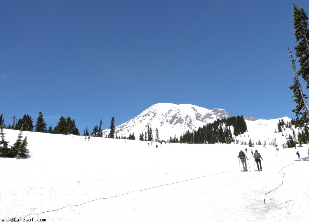 Ike Kinswa State Park in SW Washington State: Long Weekend Itinerary | WildTalesof.com