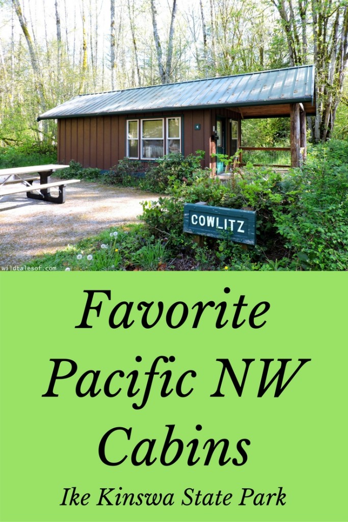 Ike Kinswa State Park in SW Washington State: Long Weekend Itinerary | WildTalesof.com