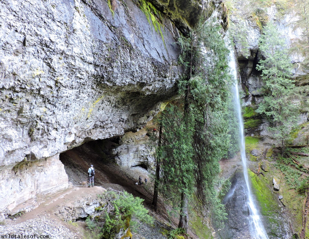 Ike Kinswa State Park in SW Washington State: Long Weekend Itinerary | WildTalesof.com