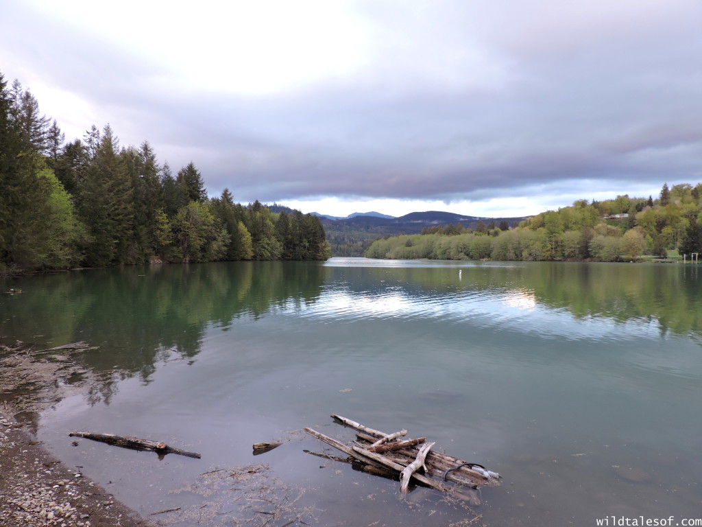 Ike Kinswa State Park in SW Washington State: Long Weekend Itinerary | WildTalesof.com