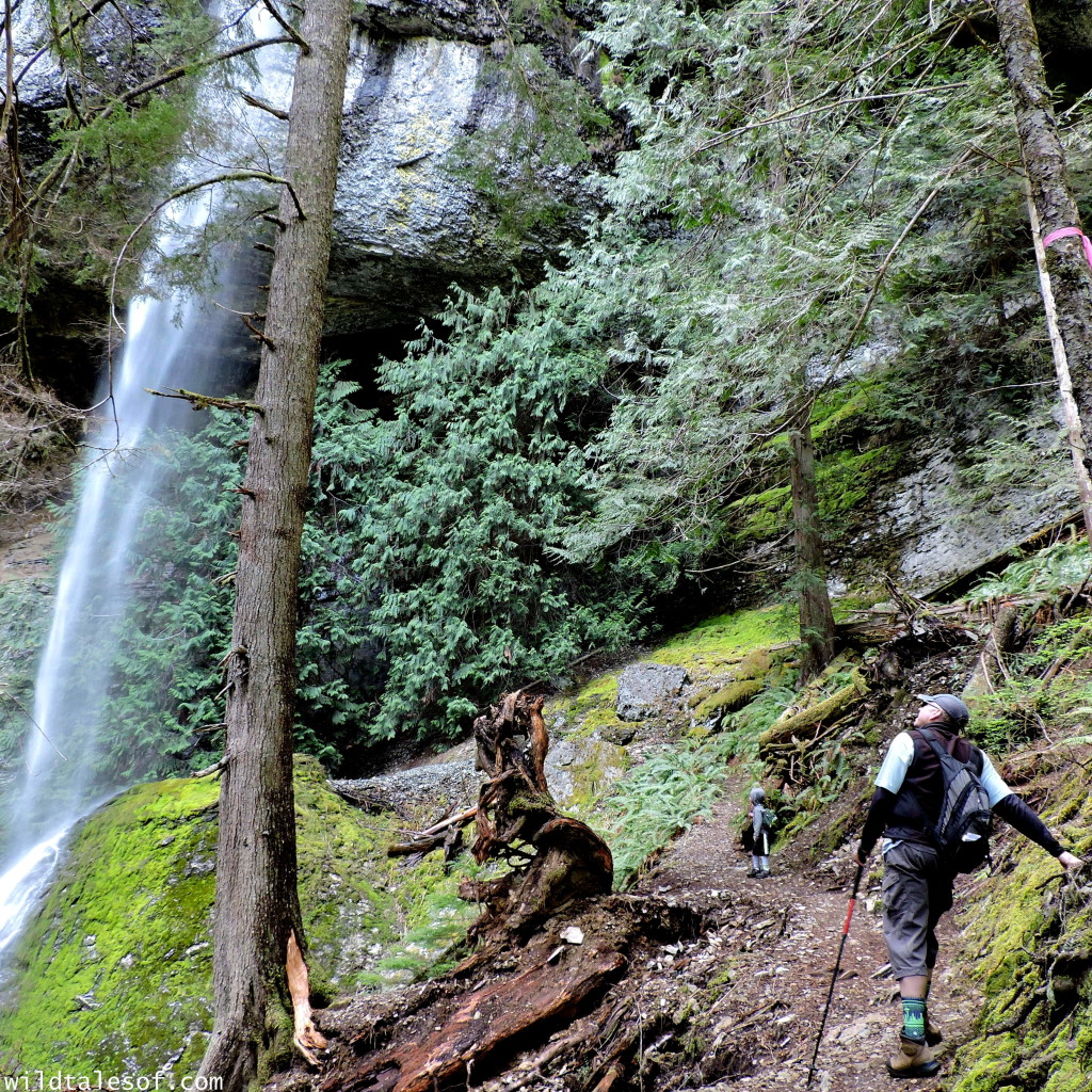 Ike Kinswa State Park in SW Washington State: Long Weekend Itinerary | WildTalesof.com