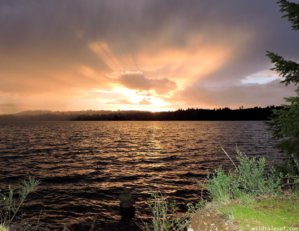 Ike Kinswa State Park in SW Washington State: Long Weekend Itinerary | WildTalesof.com