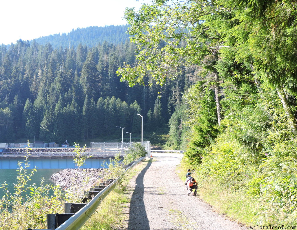 4 Ways to Enrich Your Next Hike featuring the Central Cascade's Spada Lake | WildTalesof.com