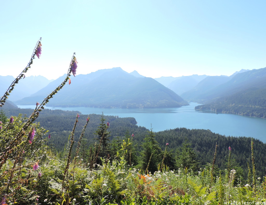 4 Ways to Enrich Your Next Hike featuring the Central Cascade's Spada Lake | WildTalesof.com