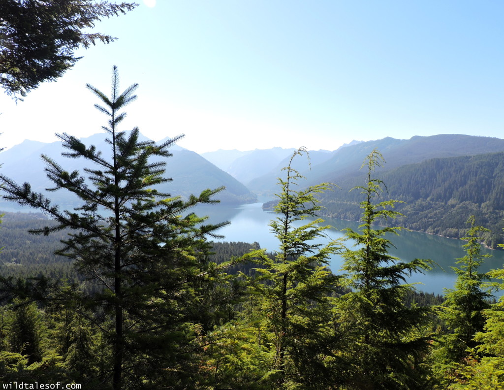 4 Ways to Enrich Your Next Hike featuring the Central Cascade's Spada Lake | WildTalesof.com