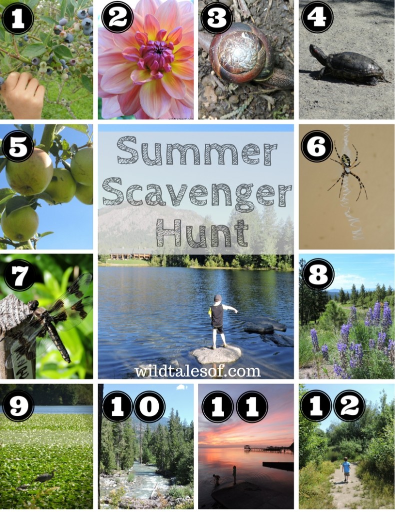 Summer Scavenger Hunt (with Printable) for Kids | WildTalesof.com