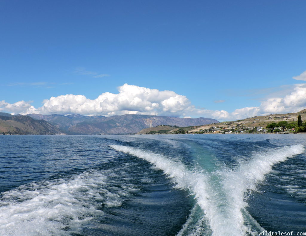 Lake Chelan, Washington: Things to do with Kids | WildTalesof.com