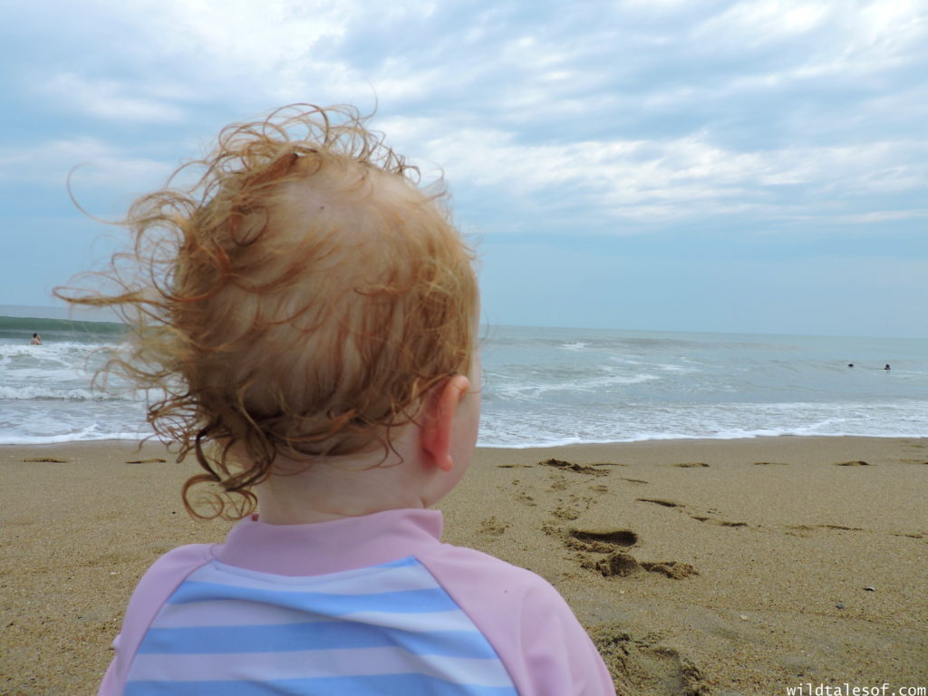 North Carolina's Outer Banks: 4-day Itinerary with Kids | WildTalesof.com