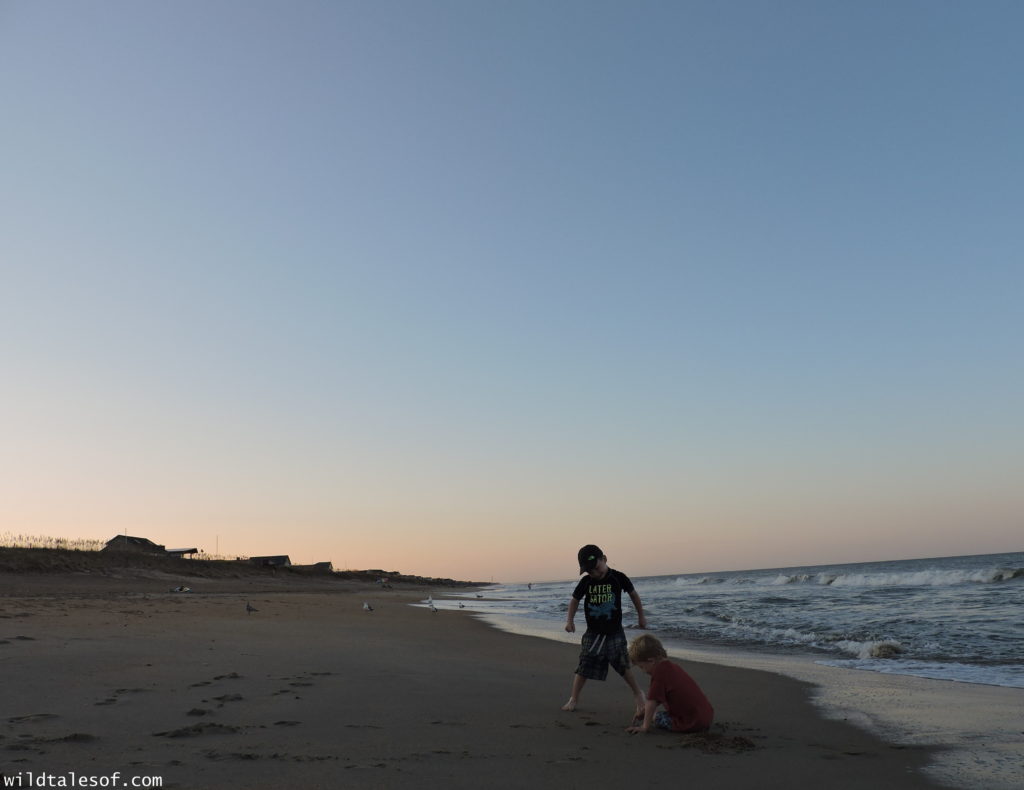 North Carolina's Outer Banks: 4-day Itinerary with Kids | WildTalesof.com