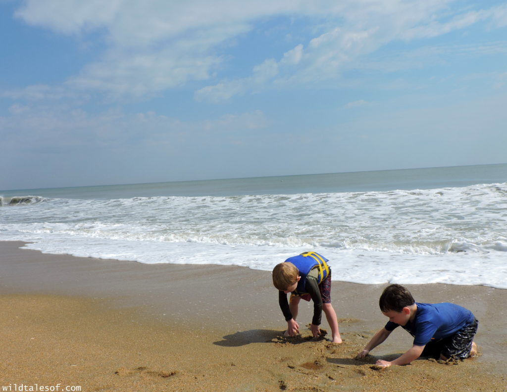 North Carolina's Outer Banks: 4-day Itinerary with Kids | WildTalesof.com