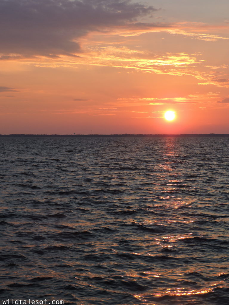 North Carolina's Outer Banks: 4-day Itinerary with Kids | WildTalesof.com