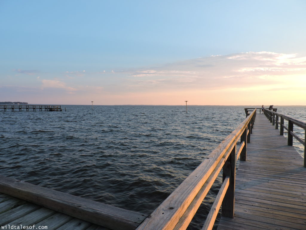 North Carolina's Outer Banks: 4-day Itinerary with Kids | WildTalesof.com