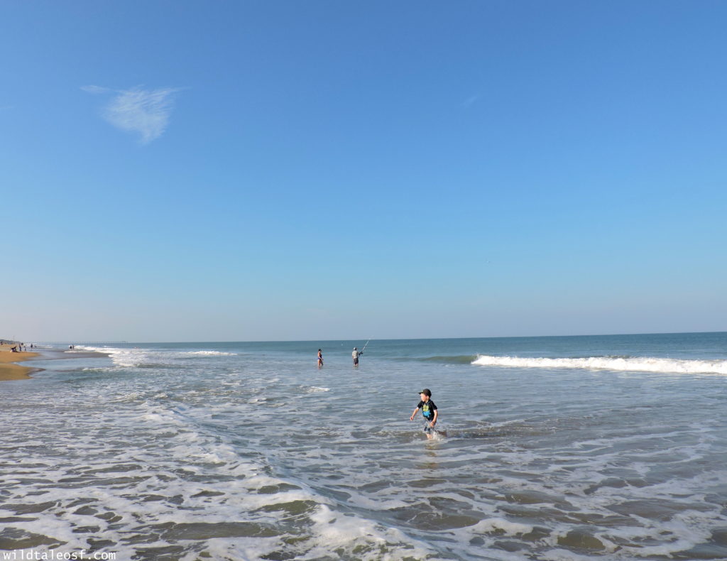 North Carolina's Outer Banks: 4-day Itinerary with Kids | WildTalesof.com