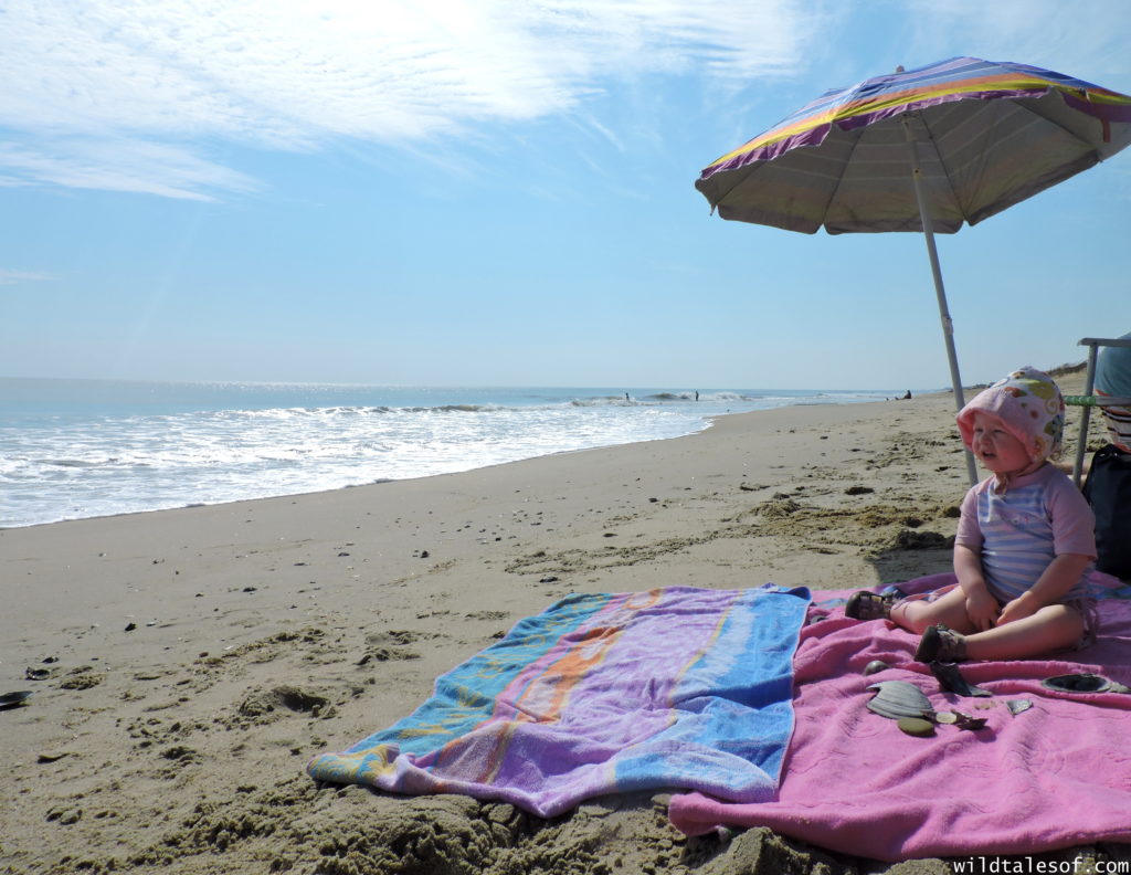 North Carolina's Outer Banks: 4-day Itinerary with Kids | WildTalesof.com