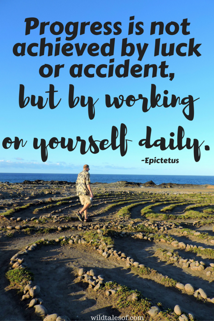 Progress is not achieved by luck or accident, but by working on yourself daily. | WildTalesof.com