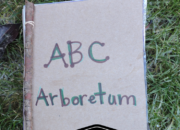 Nature-Based Alphabet Book | WildTalesof.com