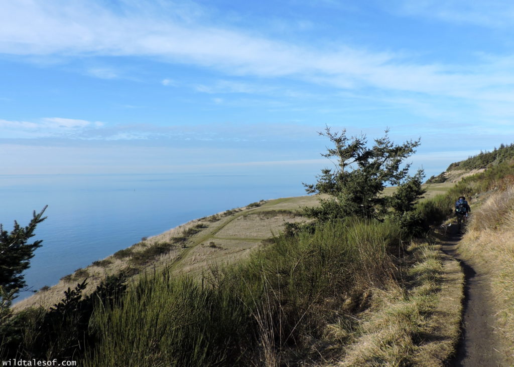 Fort Ebey State Park: Whidbey Island, Washington | WildTalesof.com