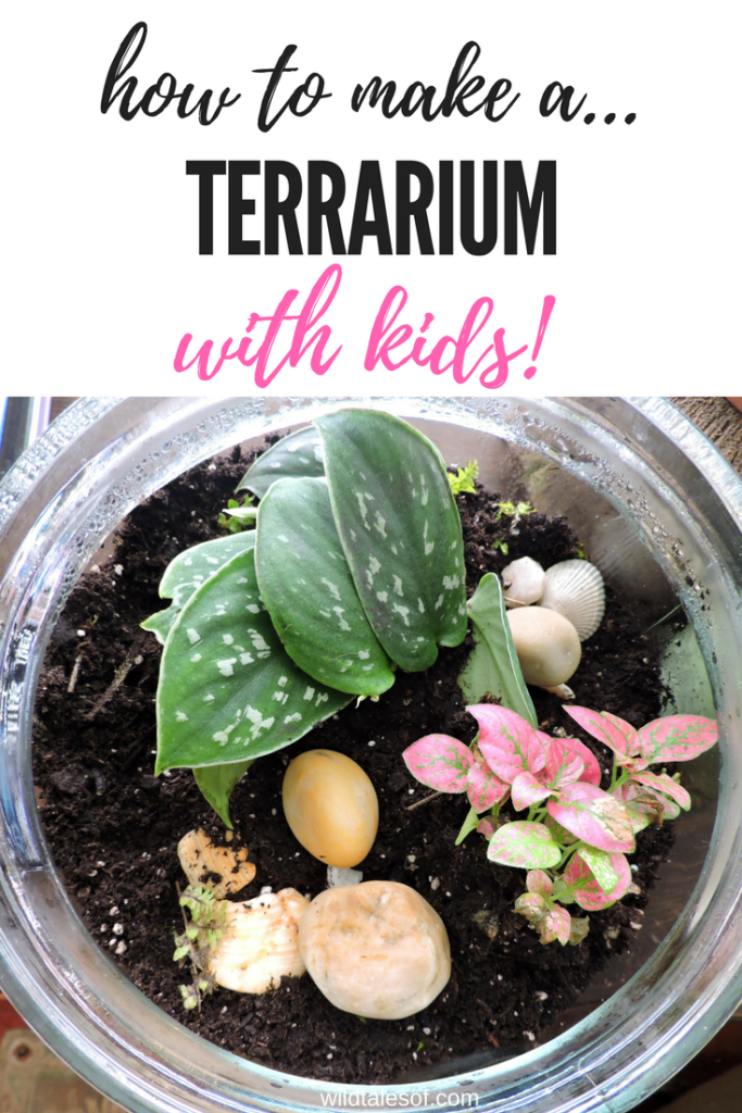 All-Purpose Terrarium Soil - Terrarium Creations