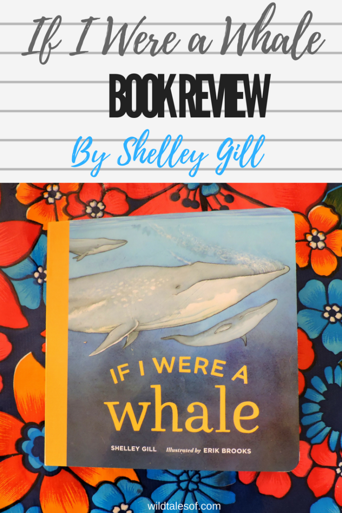 If I Were a Whale by Shelley Gill: Book Review | WildTalesof.com