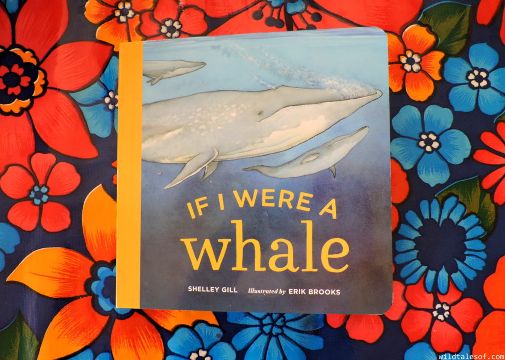 If I Were a Whale by Shelley Gill: Book Review | WildTalesof.com