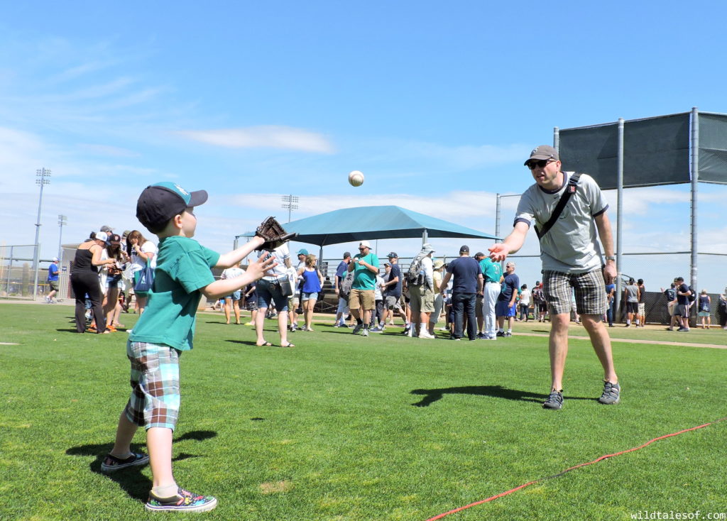 Spring Training Cactus League in Arizona: Secrets to a Fun Day at the Ballpark | WildTalesof.com