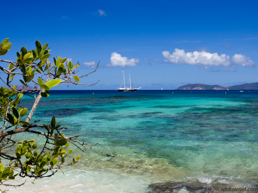 St. John, U.S. Virgin Islands | 14 Family Travel Destination Ideas: Where the Experts are Vacationing in 2017 | WildTalesof.com