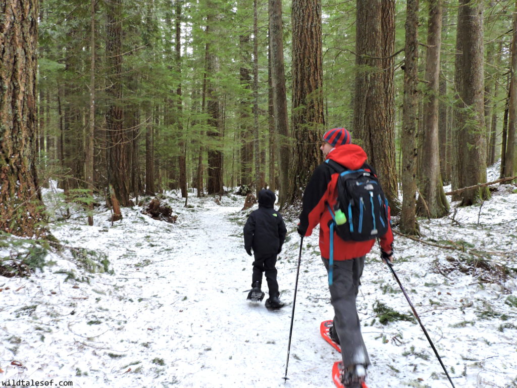 First Family Snowshoe: Mount Rainier National Park | WildTalesof.com