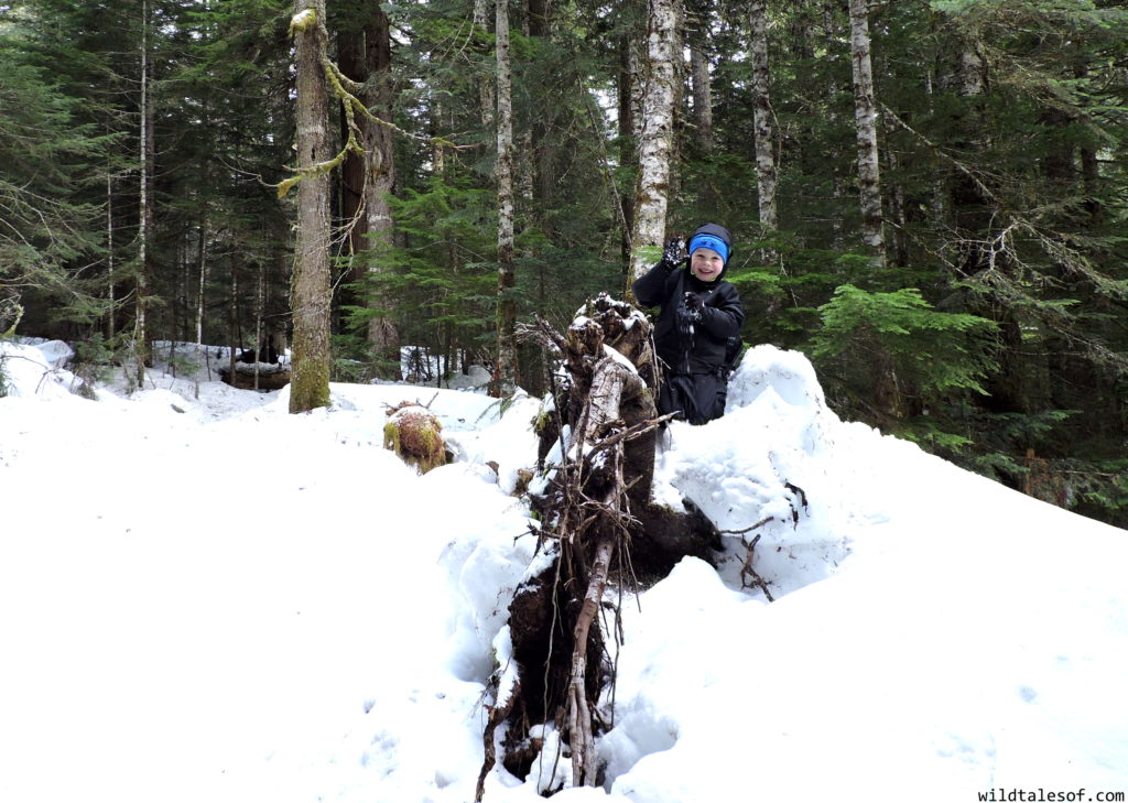 First Family Snowshoe: Mount Rainier National Park | WildTalesof.com