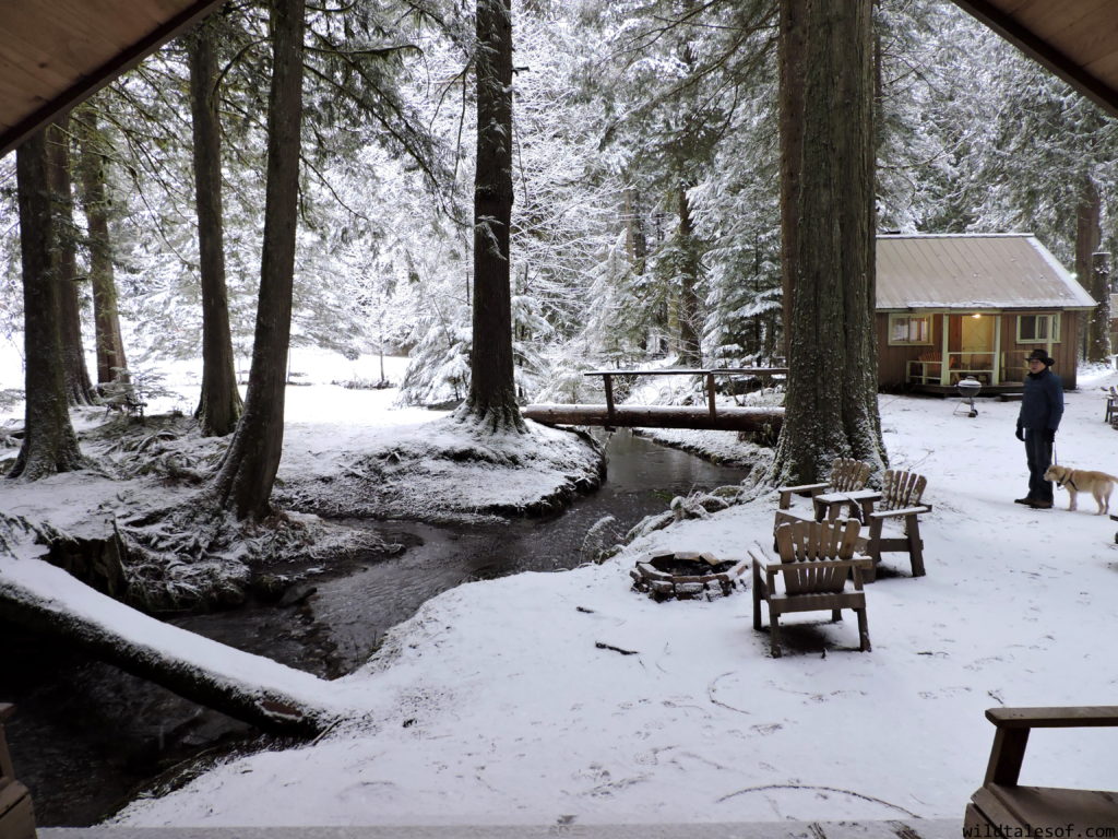 Mounthaven Resort near Mount Rainier National Park | WildTalesof.com