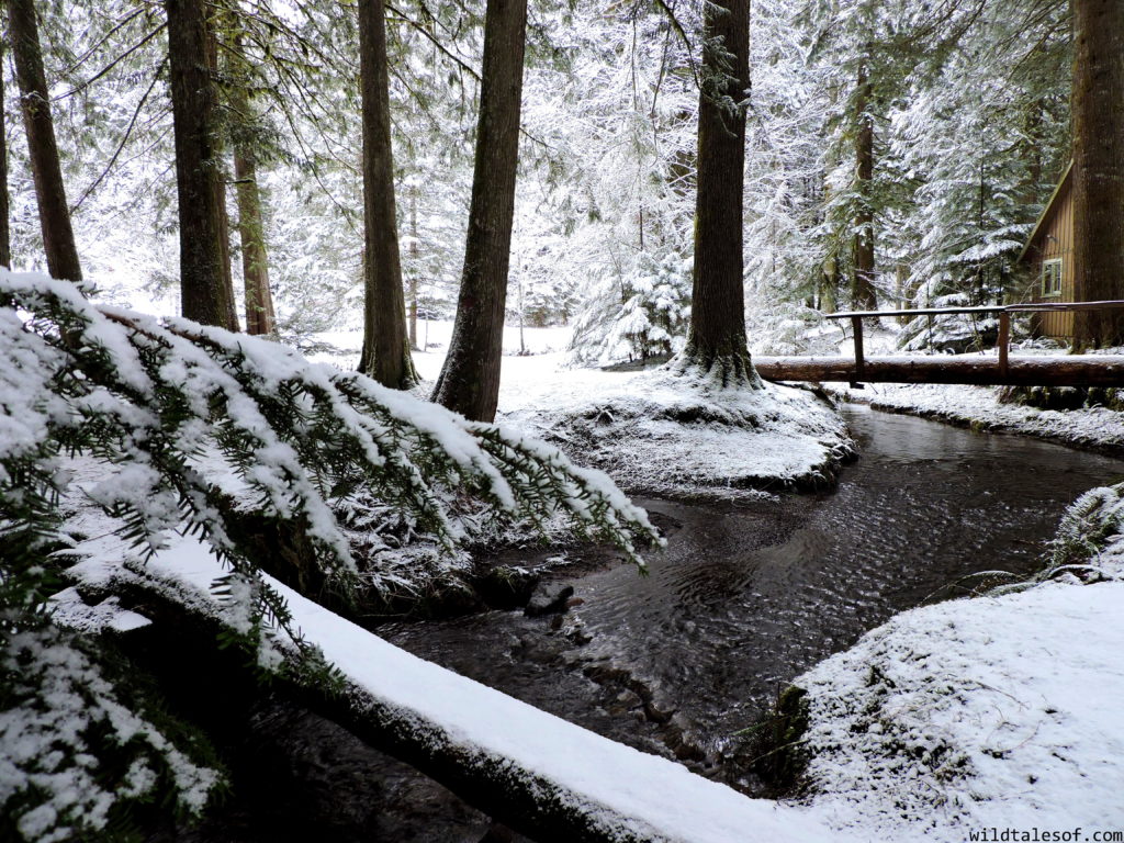 Mounthaven Resort near Mount Rainier National Park | WildTalesof.com