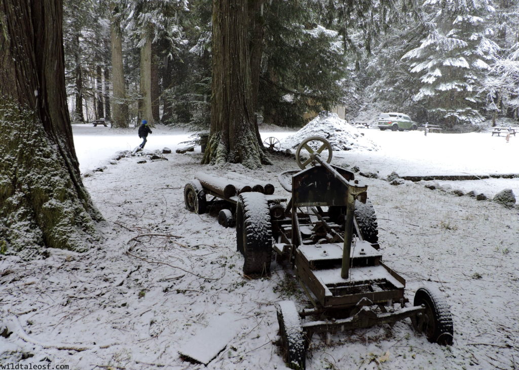 Mounthaven Resort near Mount Rainier National Park | WildTalesof.com