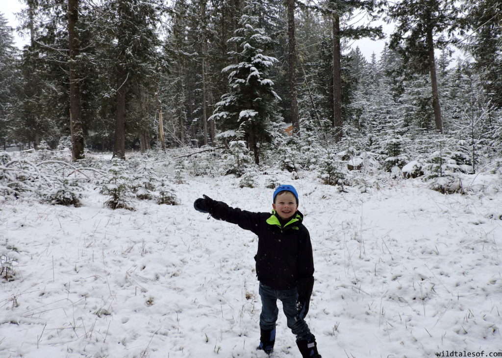 Stonz Wear: Cold Weather Outdoor Gear for Kids | WildTalesof.com