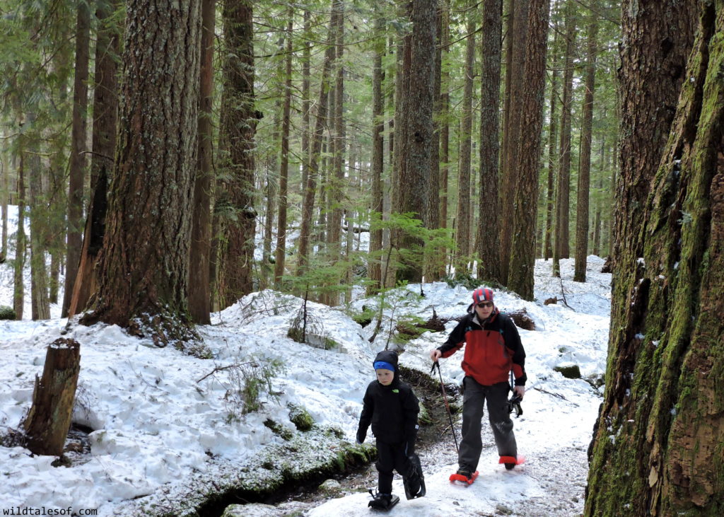 Stonz Wear: Cold Weather Outdoor Gear for Kids | WildTalesof.com