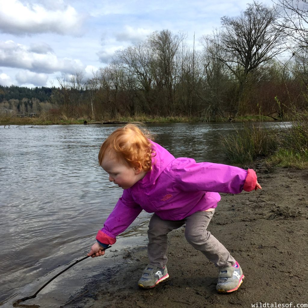 Lake Sammamish State Park with Kids | WildTalesof.com