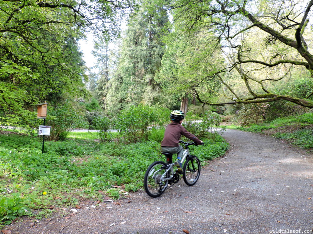 Biking with Kids: 6 Tips for Helping Kids Learn to Change Gears | WildTalesof.com