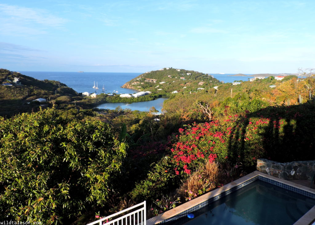 St. John, U.S. Virgin Islands with Kids: 7-day Itinerary