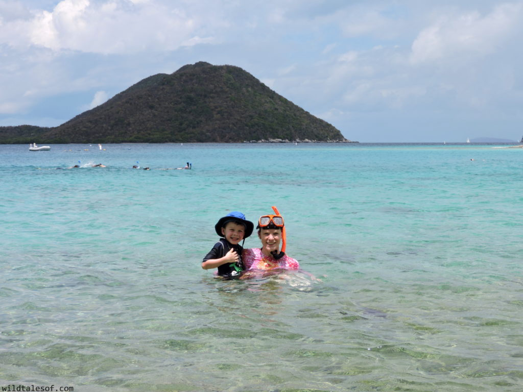 St. John, U.S. Virgin Islands with Kids: 7-day Itinerary | WildTalesof.com