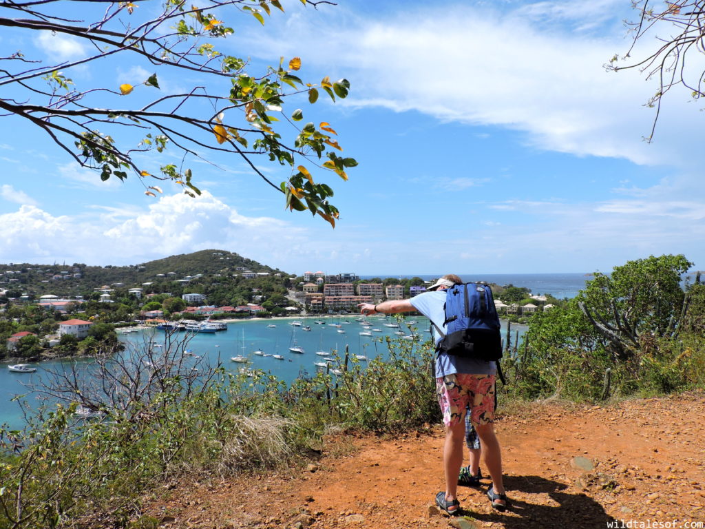 St. John, U.S. Virgin Islands with Kids: 7-day Itinerary | WildTalesof.com