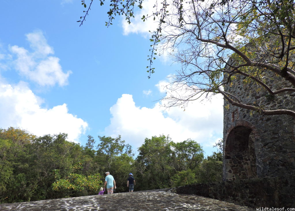 St. John, U.S. Virgin Islands with Kids: 7-day Itinerary | WildTalesof.com