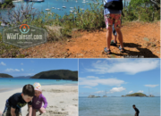St. John, U.S. Virgin Islands with Kids: 7-day Itinerary | WildTalesof.com